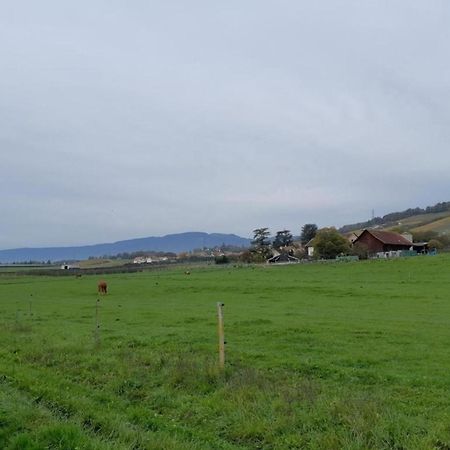 Wohnung Im Bauerhof - B48860 Luins Eksteriør bilde